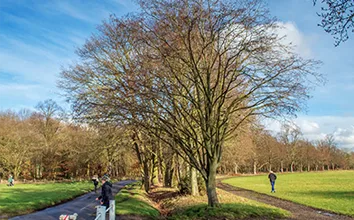Information About Wimbledon Common